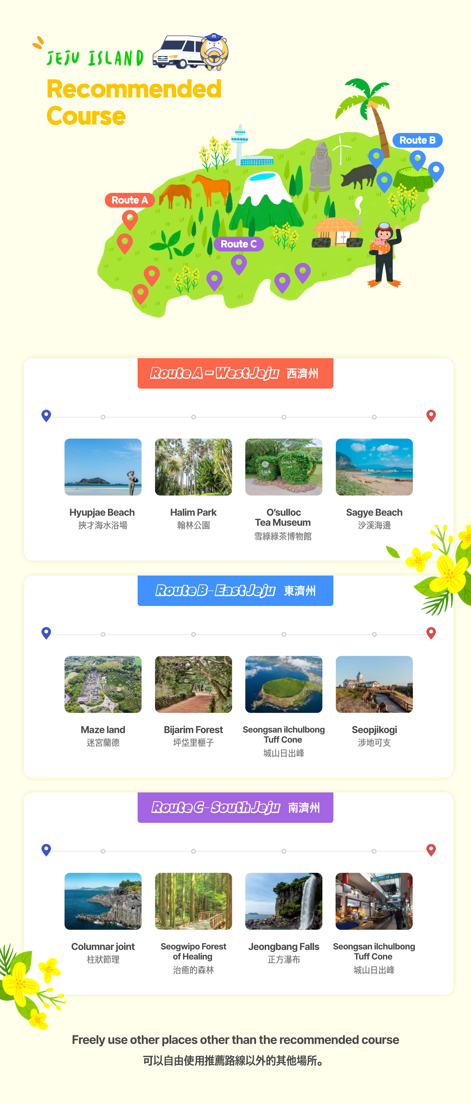 Jeju Private Car Charter