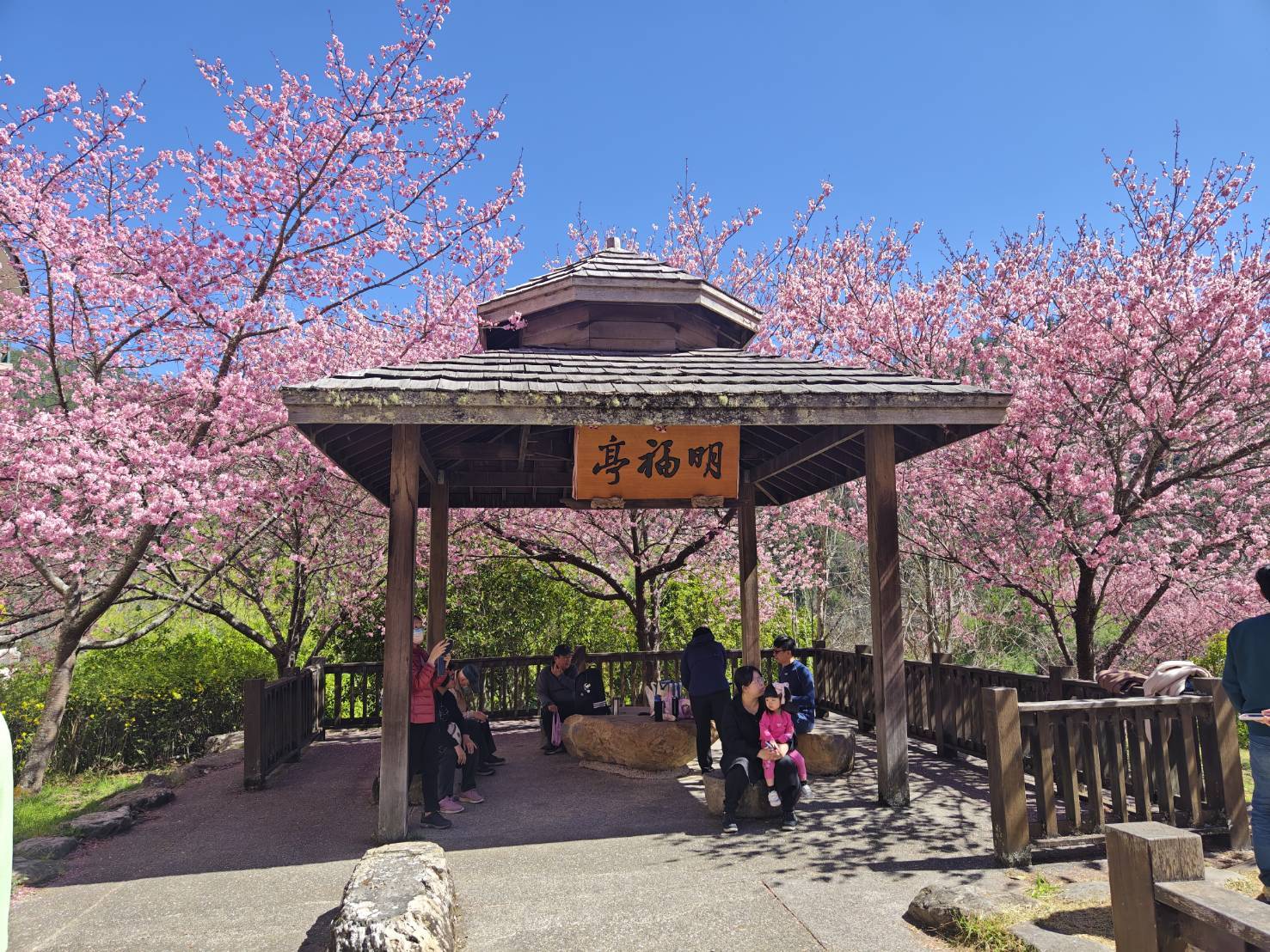 武陵農場一日遊(台中市區飯店接送)