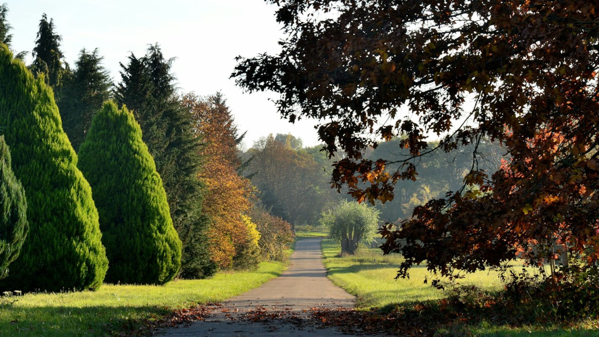 凡爾賽-謝夫勒盧樹木園 (Arboretum de Versailles-Chevreloup) 門票（羅肯庫爾）