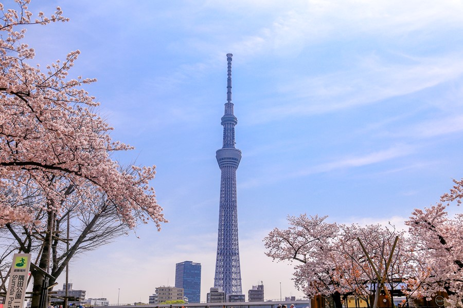 【經典東京都一日遊】明治神宮+原宿+澀谷+淺草寺+晴空塔天望臺+臺場