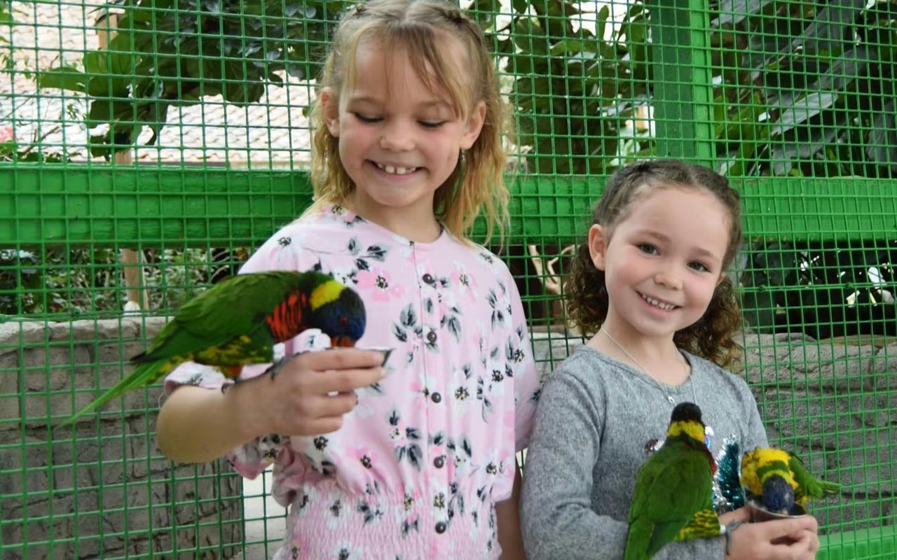 探索這座鬱鬱蔥蔥的多層雨林環境，與色彩繽紛的鸚鵡相見歡，並餵食活潑的吸蜜鸚鵡。