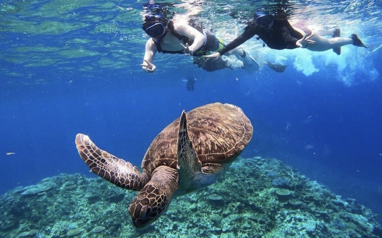 Iriomote Island Barasu Island Snorkeling & Mangrove SUP or Canoe 1-Day Experience (Okinawa)
