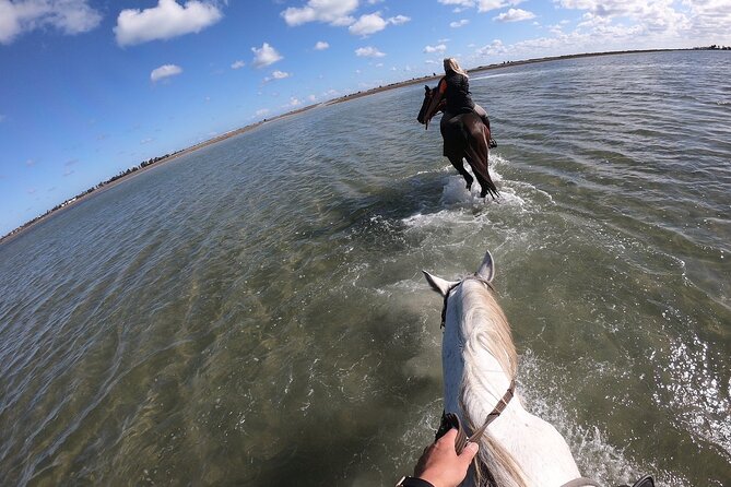 傑爾巴瀉湖（Djerba Lagoon）騎馬體驗