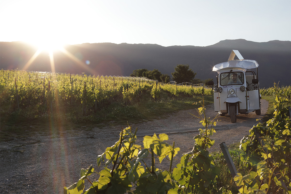 Geneva Panoramic & Vineyard Tasting Private Tour by Electric Tuk Tuk