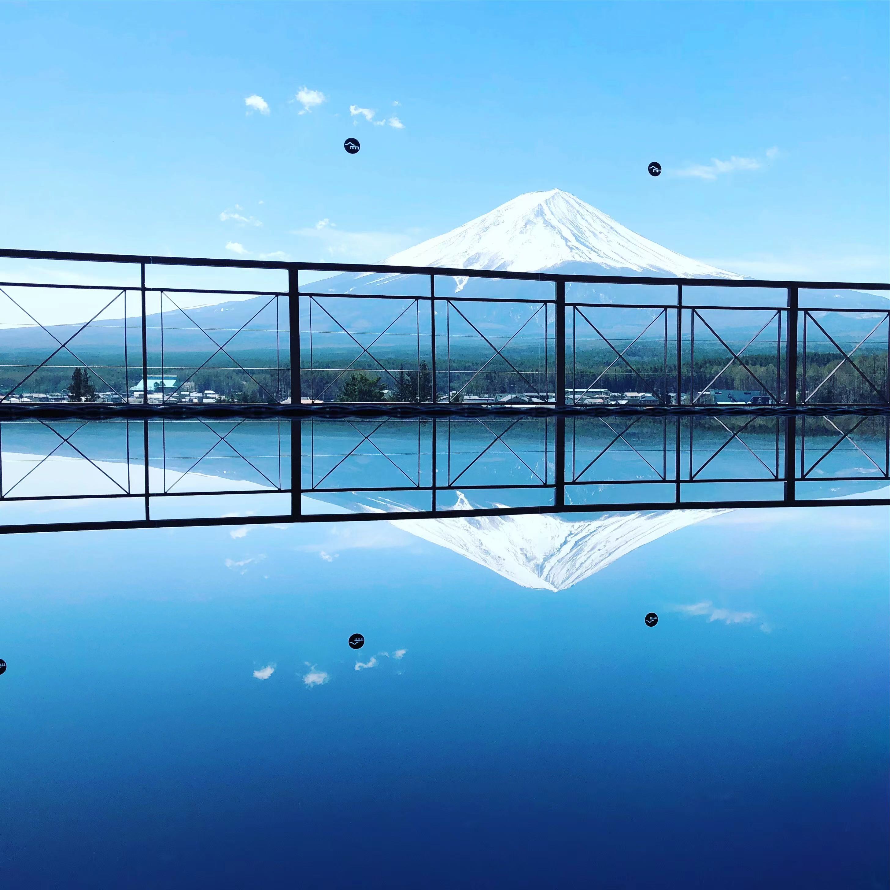 【富士山花海人气打卡景点】河口湖大石公园&四季花海（樱花/芝樱/红叶）&新仓山浅间公园&日川时计店&罗森便利店一日游