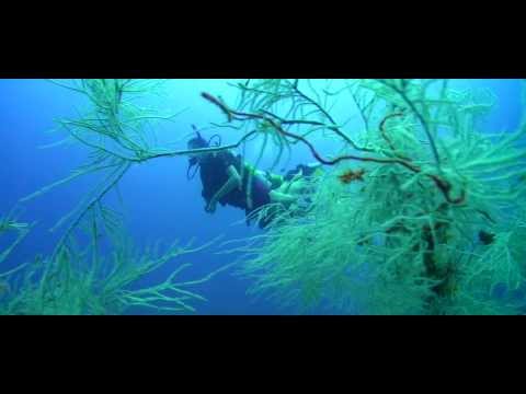 與 PADI 一起在梅諾卡島體驗 Nitrox 潛水大師課程 5* 潛水中心