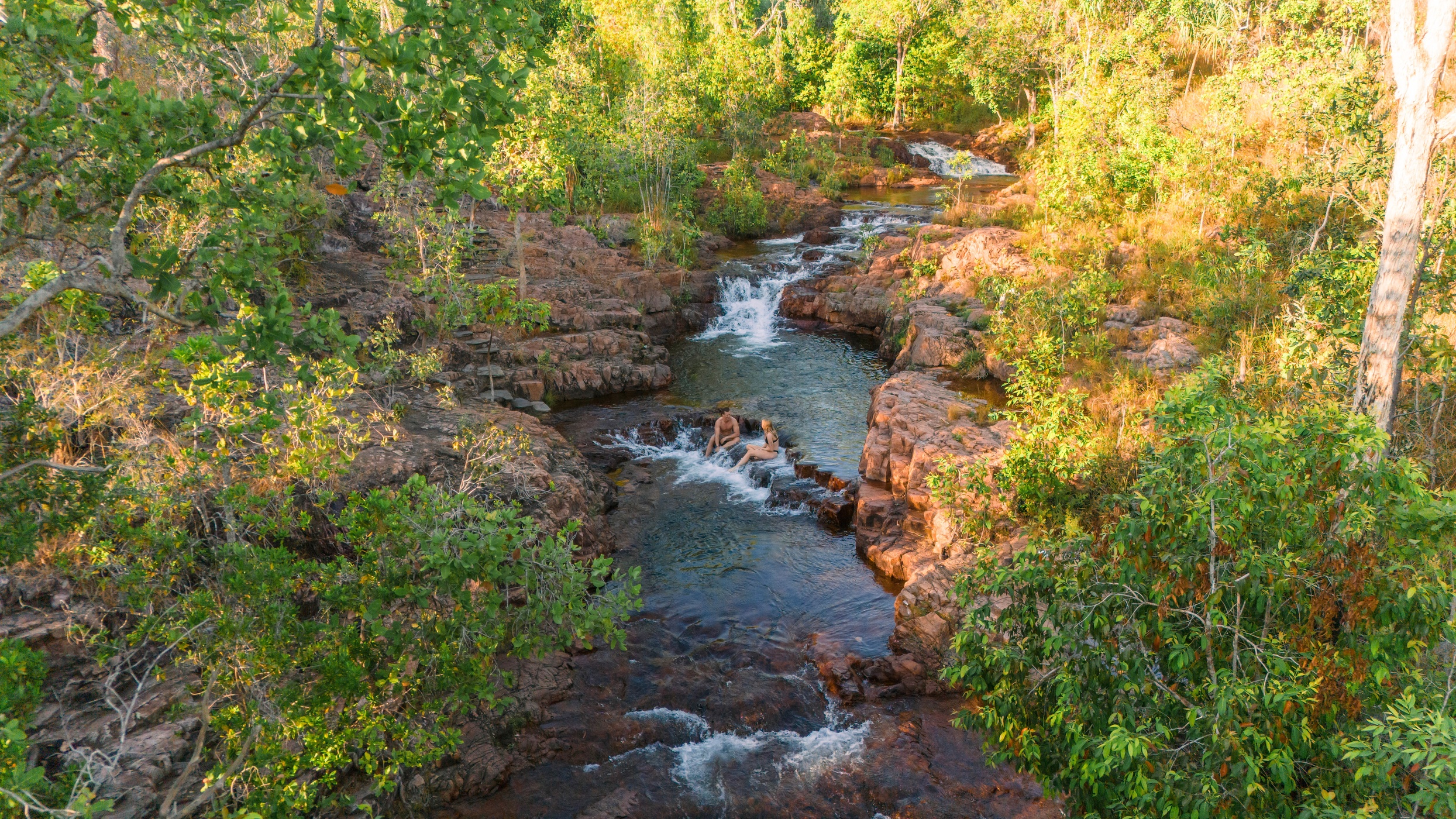 Litchfield Waterfalls Wildlife Tour - Wetlands from Darwin