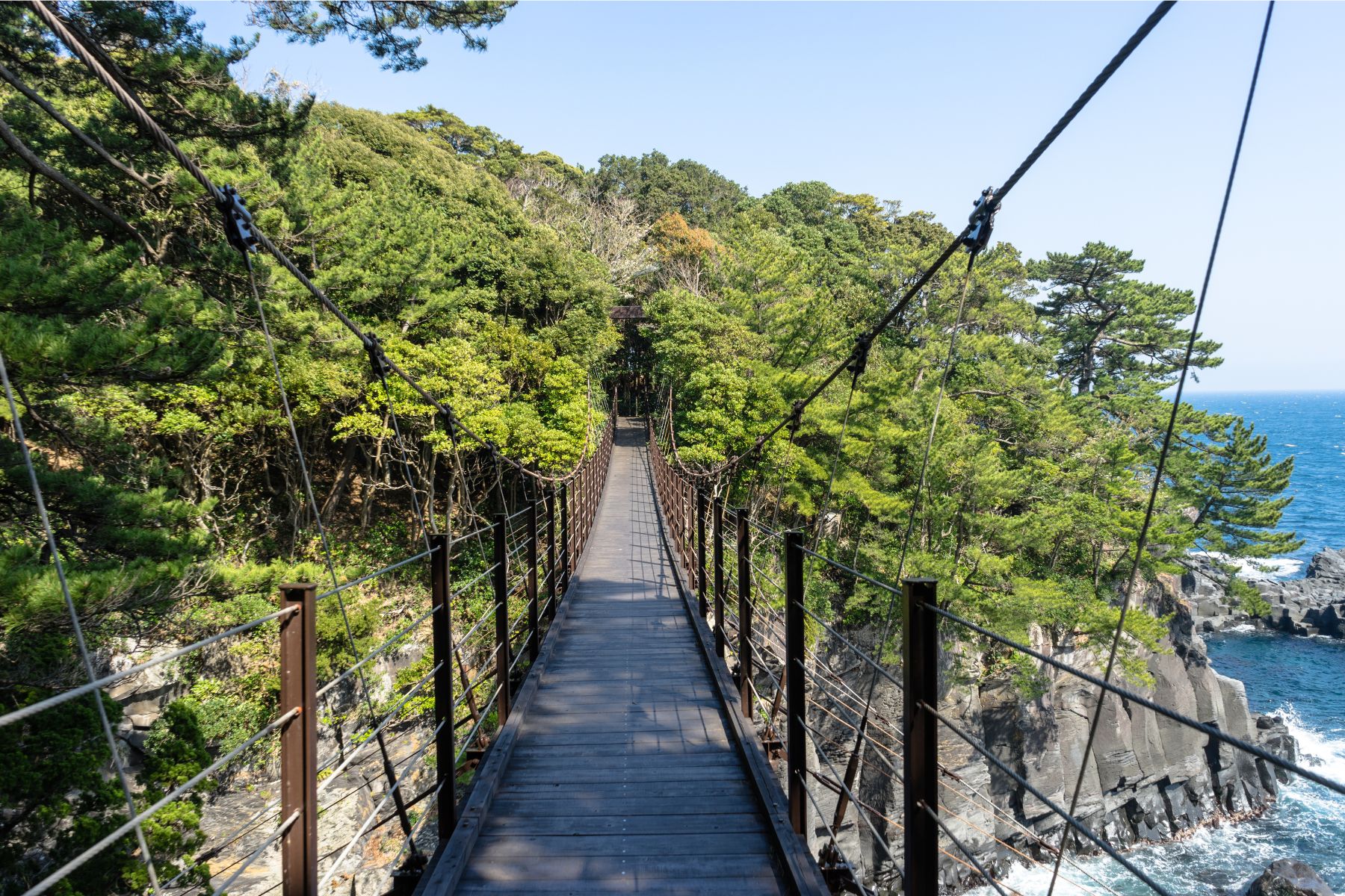 下田公園繡球花祭 & 三島大吊橋 & 大室山纜車 & 修善寺溫泉 & 城崎海岸 & 箱根神社二日遊 (入住觀海絕景露天溫泉酒店)