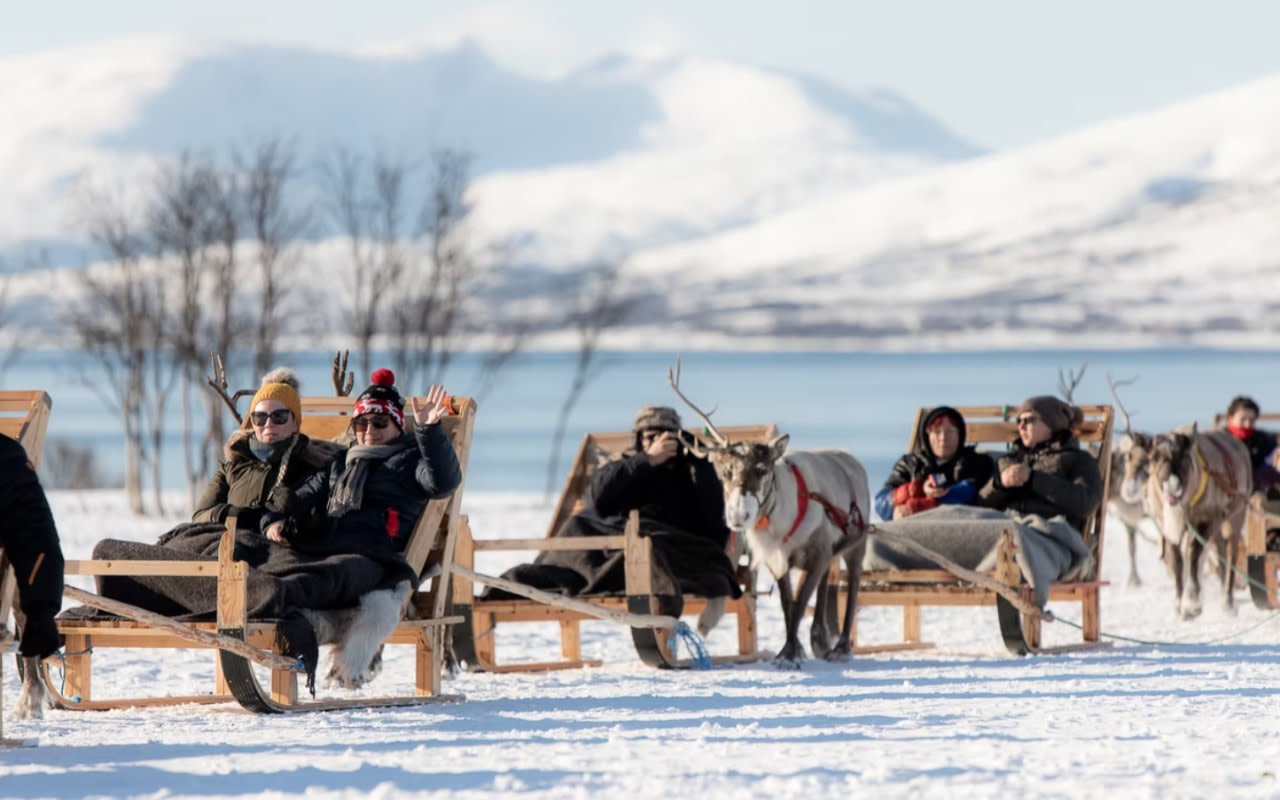 Reindeer Sledding, Feeding and Sami Culture Experience from Tromso