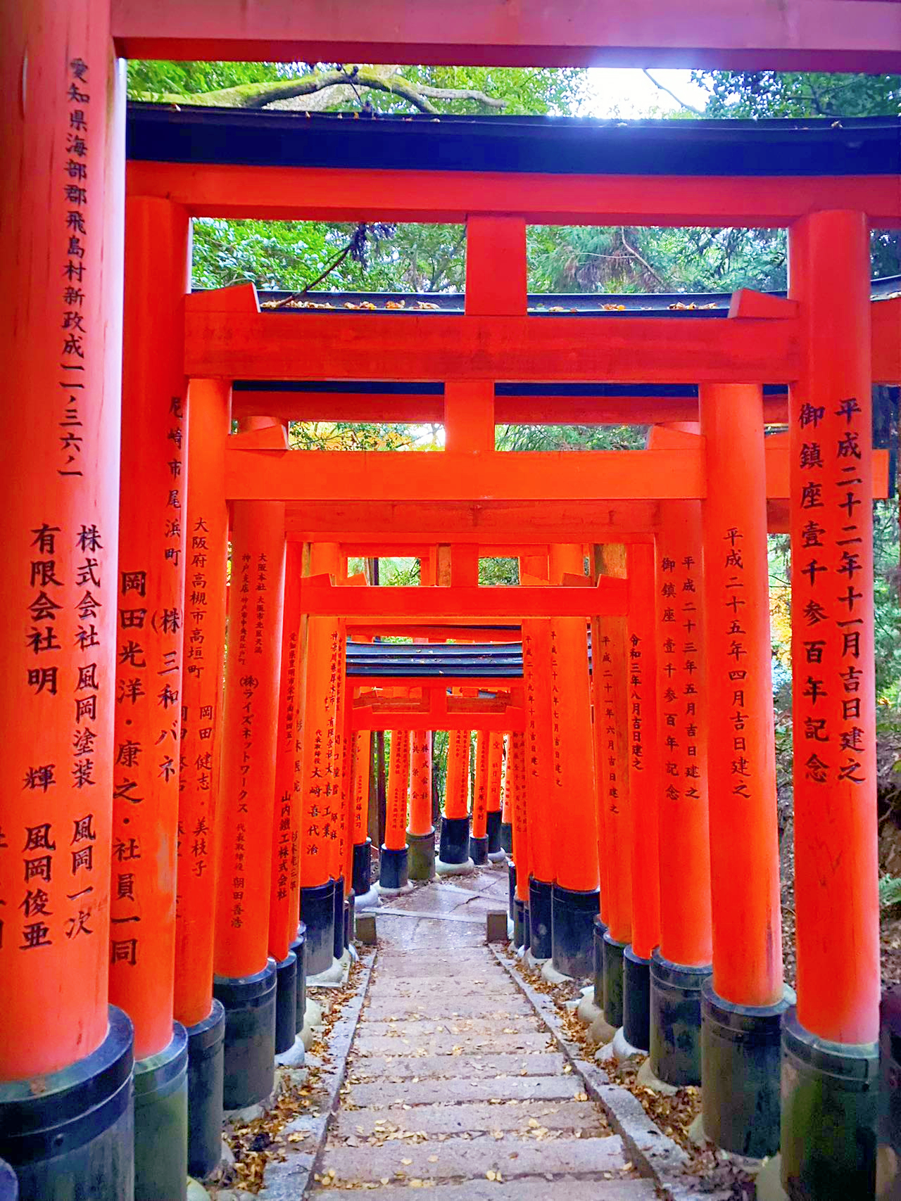 The row of torii gates are bright vermilion and are said to be the most powerful place in Kyoto.