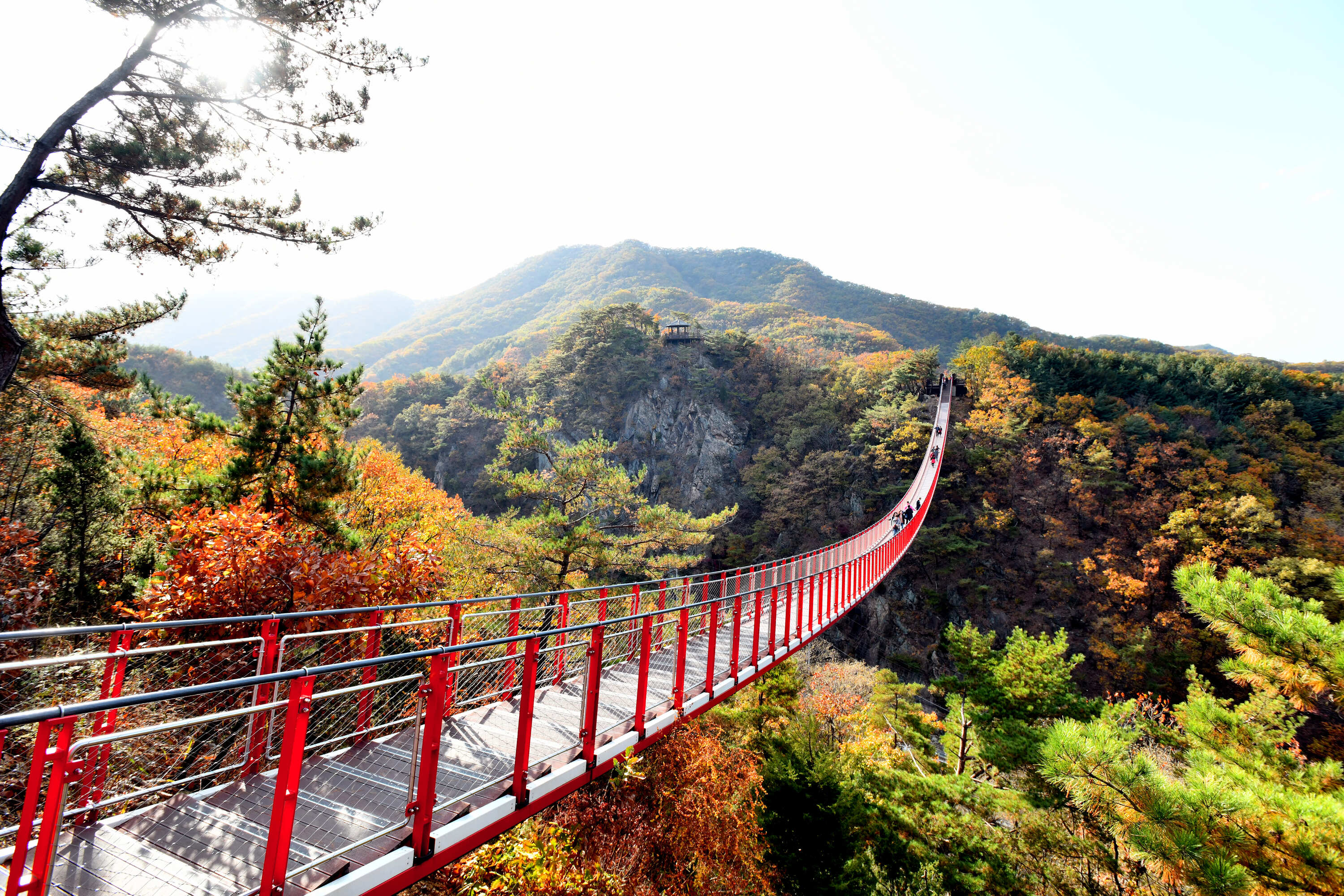 DMZ Tour: Red Suspension Bridge & Observatory from Seoul