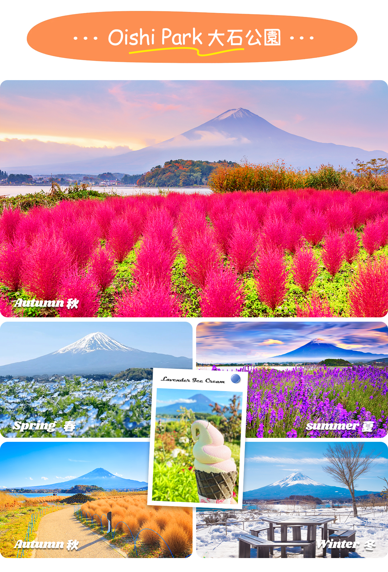 大石公園位於河口湖畔,以盛開的季節性花海和富士山背景的絕美景緻,成為拍照與賞景的熱門勝地 大石公園位於河口湖畔,以盛開的季節性花海和富士山背景的絕美景緻,成為拍照與賞景的熱門勝地