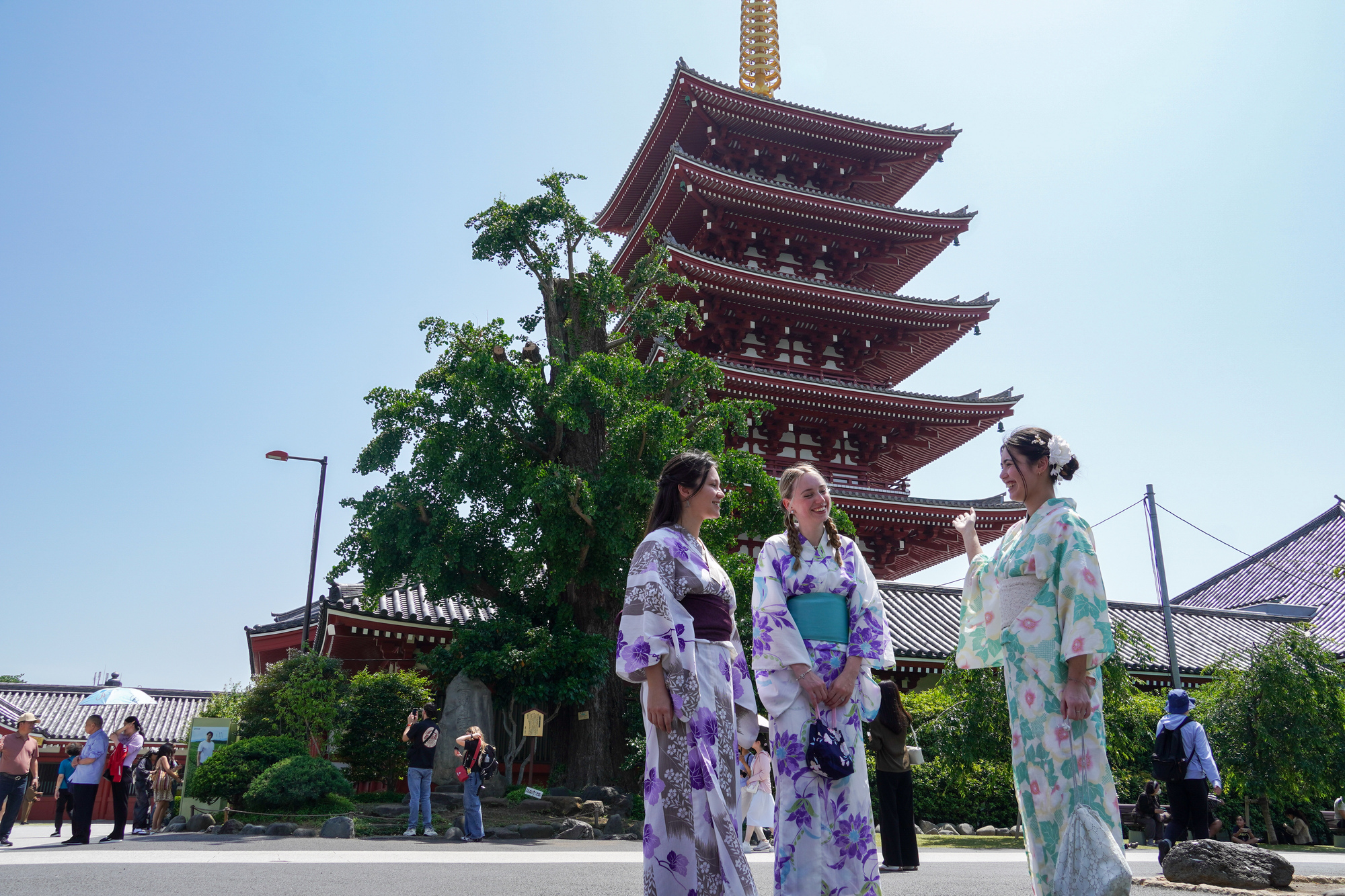 Explore Asakusa Traditions and Food in a Kimono