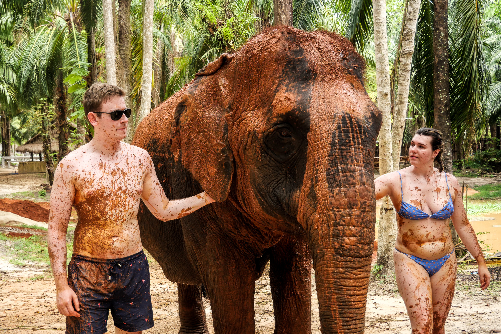 甲米大象保護區（Krabi Elephant Shelter）體驗