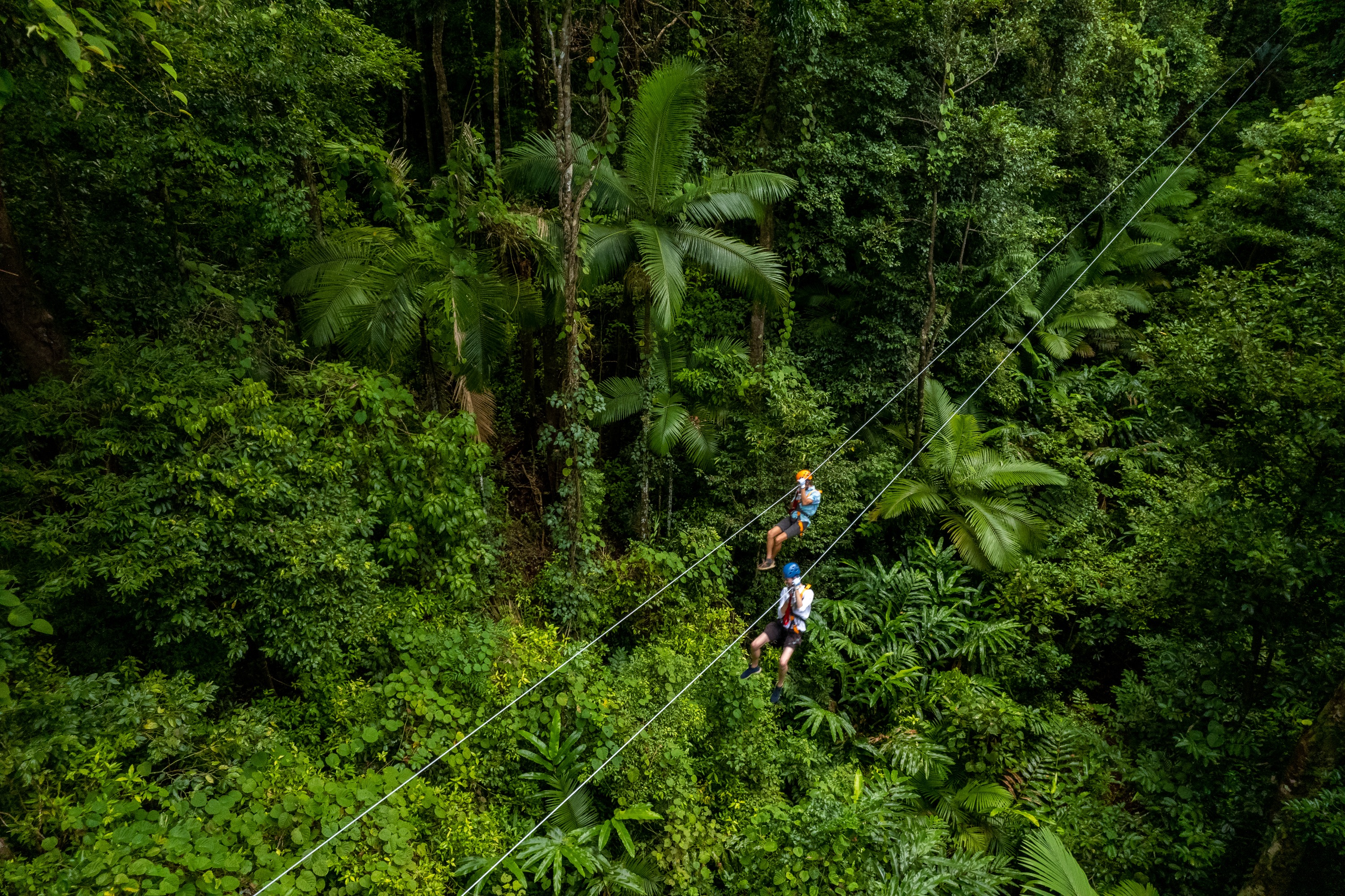 Soar through the lush Daintree Rainforest on a thrilling zipline adventure