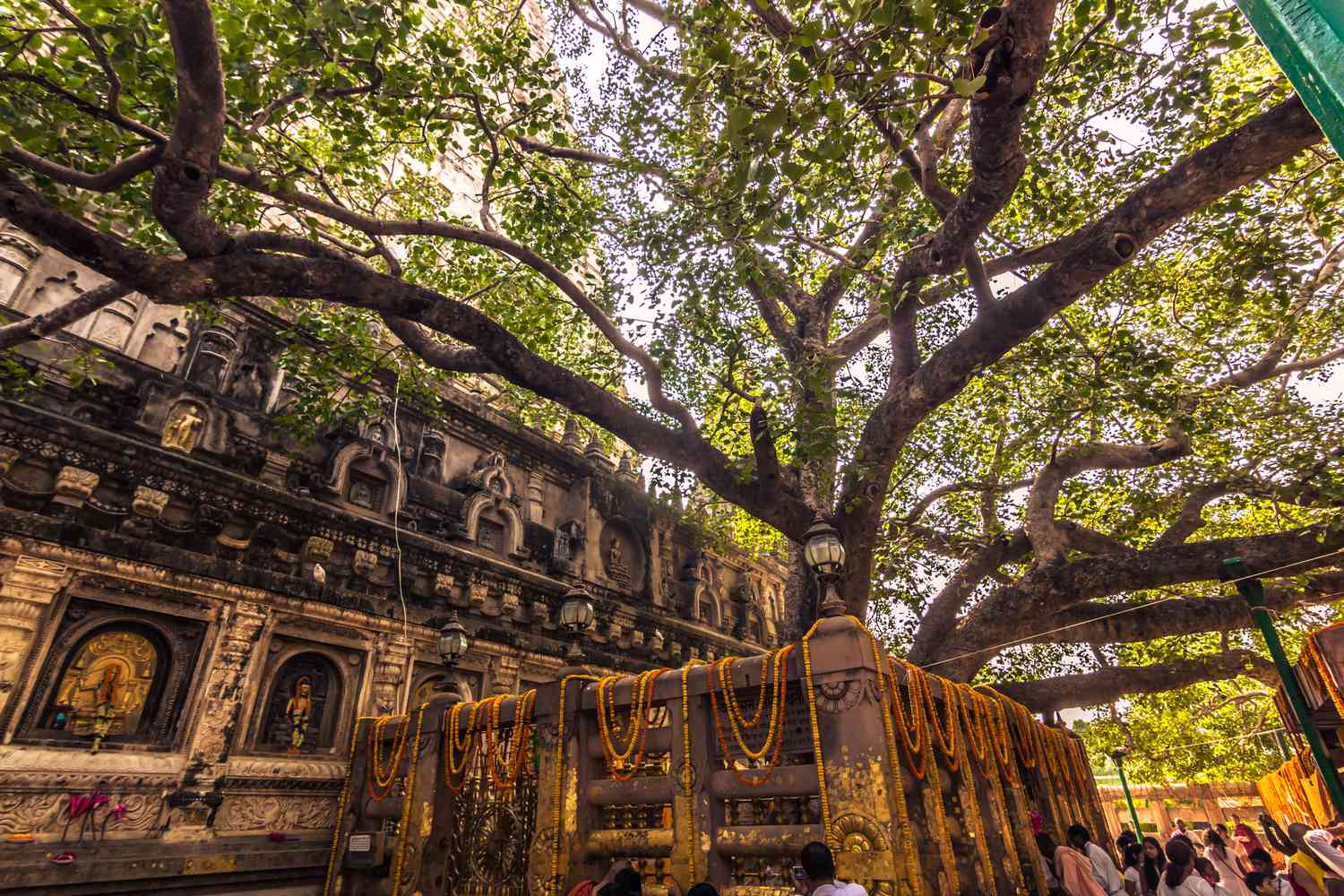 From Varanasi: Bodhgaya 2-Day Tour with Accommodation