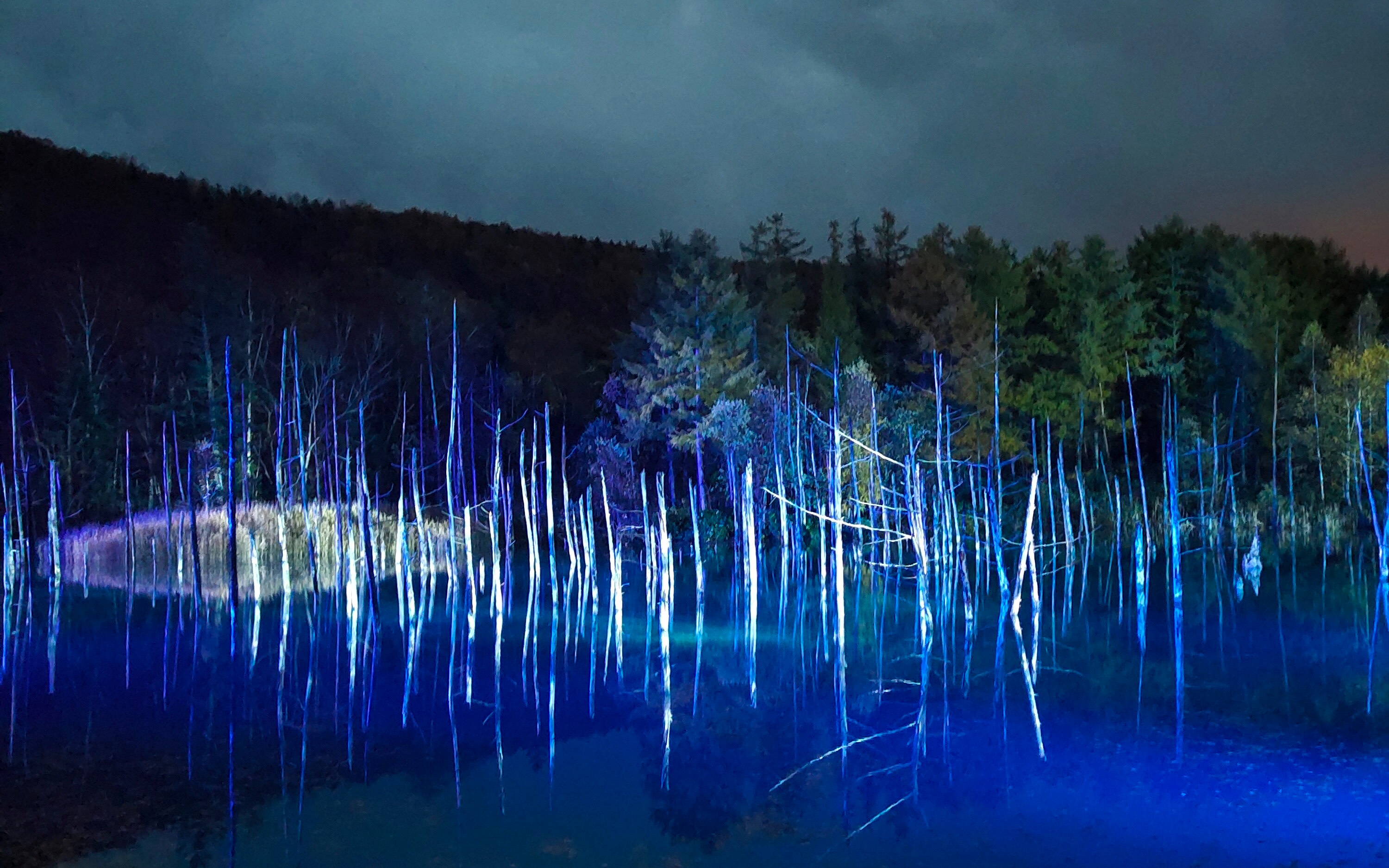 Illumination Tour: Furano Elf Terrace, Biei Blue Pond & Shirahige Falls Day Trip