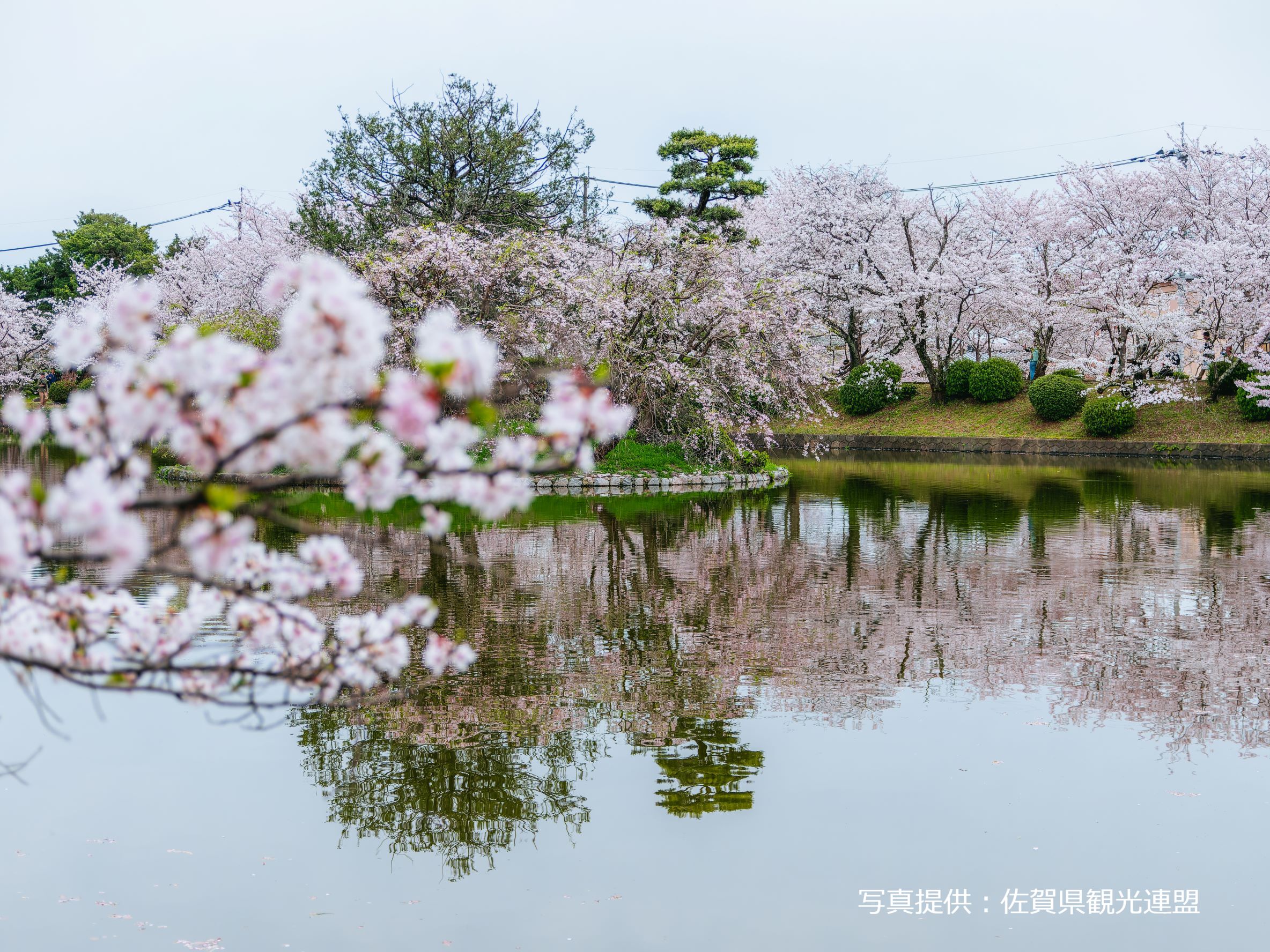 佐賀: 祐德稻荷神社&小城公園&鳥栖奧特萊斯 1日遊(博多出發)