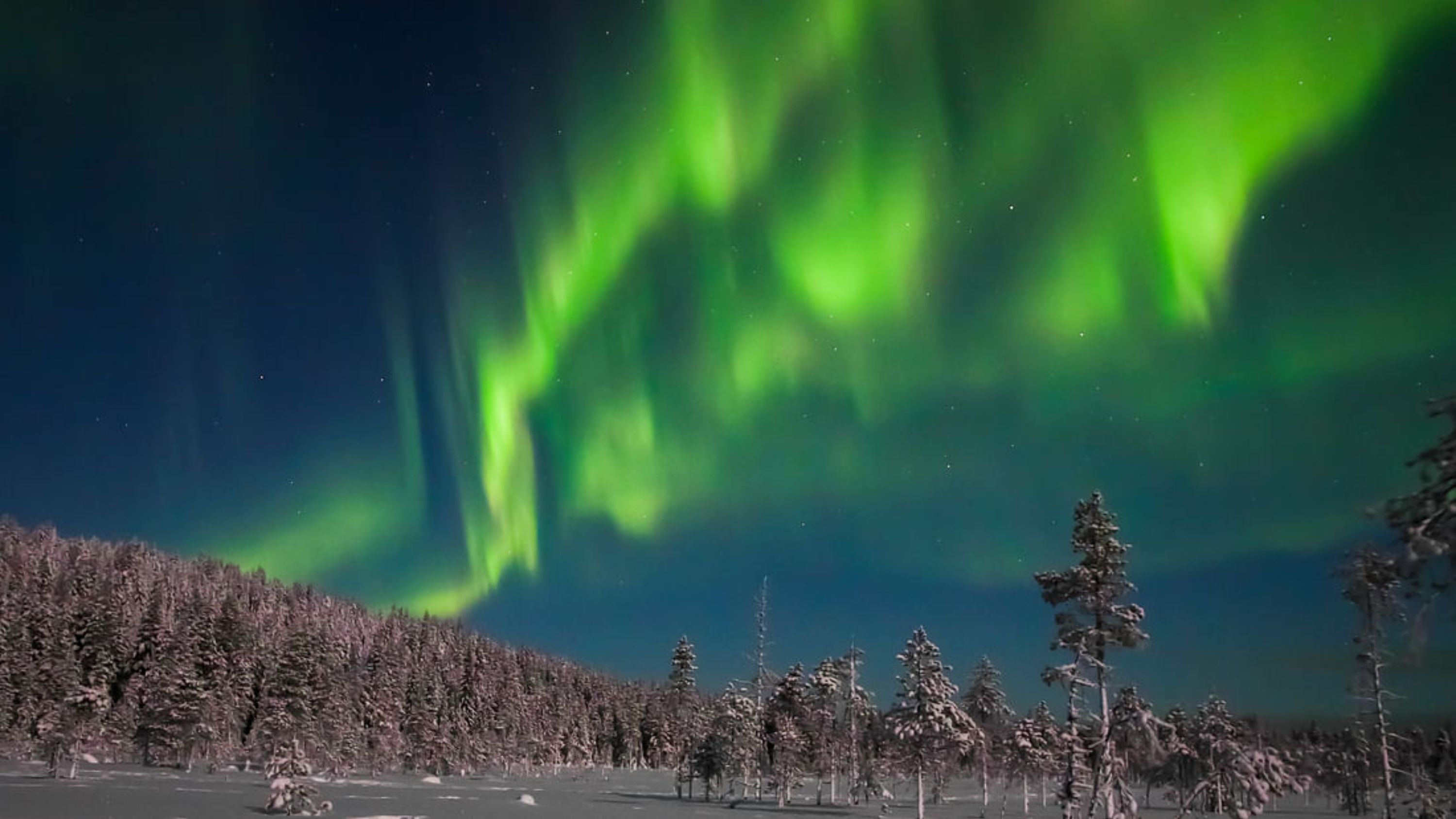 羅瓦涅米北極光之旅（Aurora Borealis tour）並享用拉普蘭野餐
