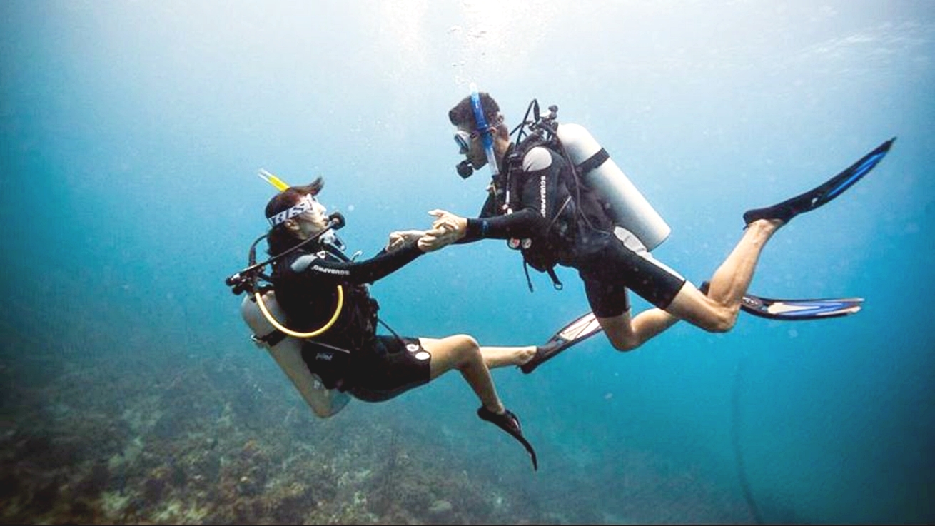 Sahl Hasheesh：潛水或浮潛游船之旅（含午餐）