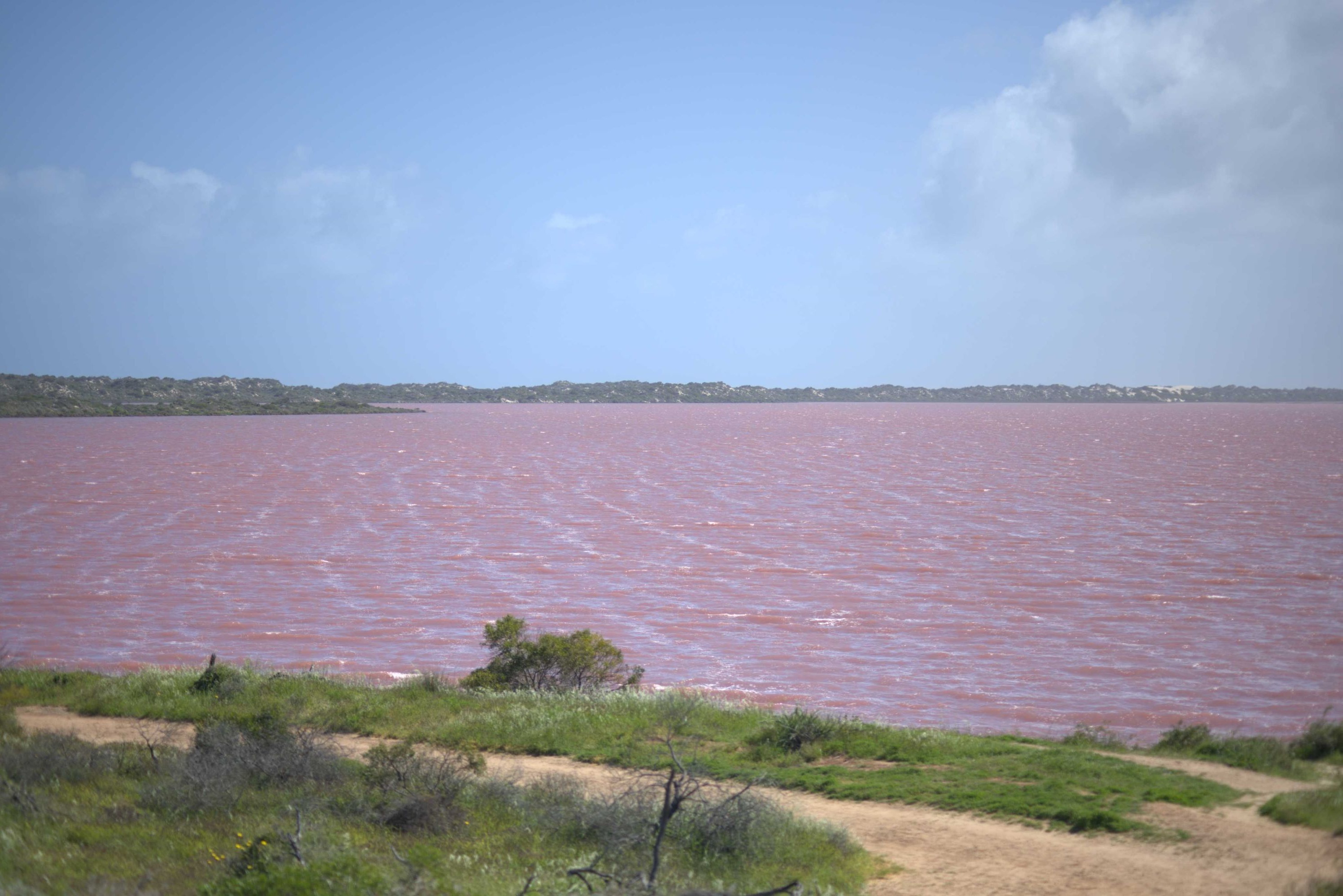 Hutt Lagoon 2-Day Tour with Chinese Guide and Scenic Photo Session