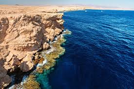 拉斯穆罕默德國家公園半日巴士之旅 - 沙姆沙伊赫 拉斯穆罕默德國家公園半日巴士之旅 - 沙姆沙伊赫