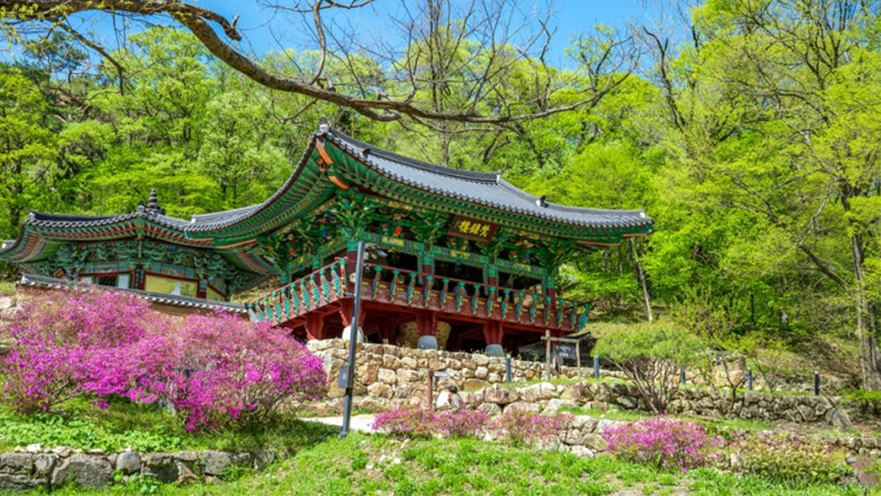 春天帶來了新綠與寧靜的氛圍，夏天則在參天大樹下提供涼爽的庇蔭。