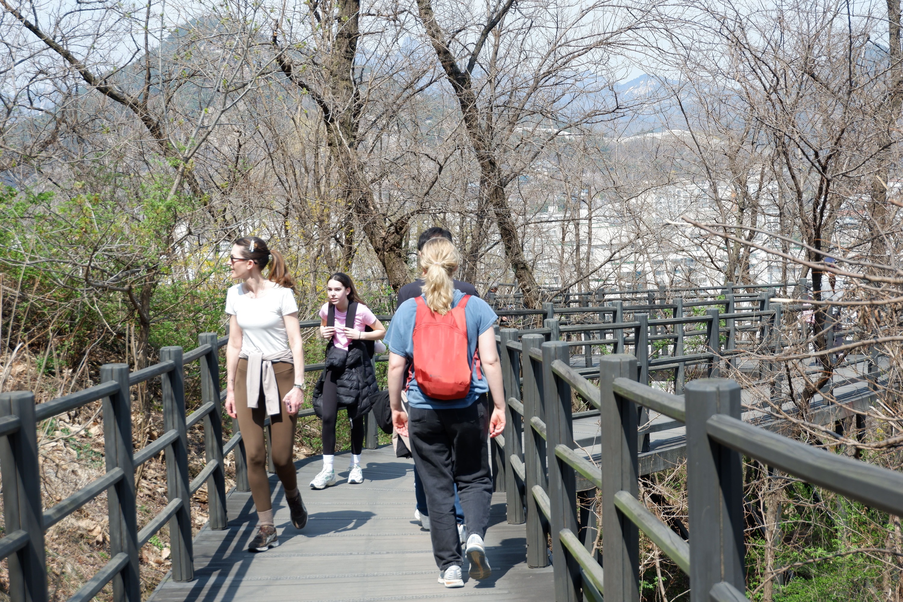 韓服 + 景福宮 + 東仁市場導覽步行遊