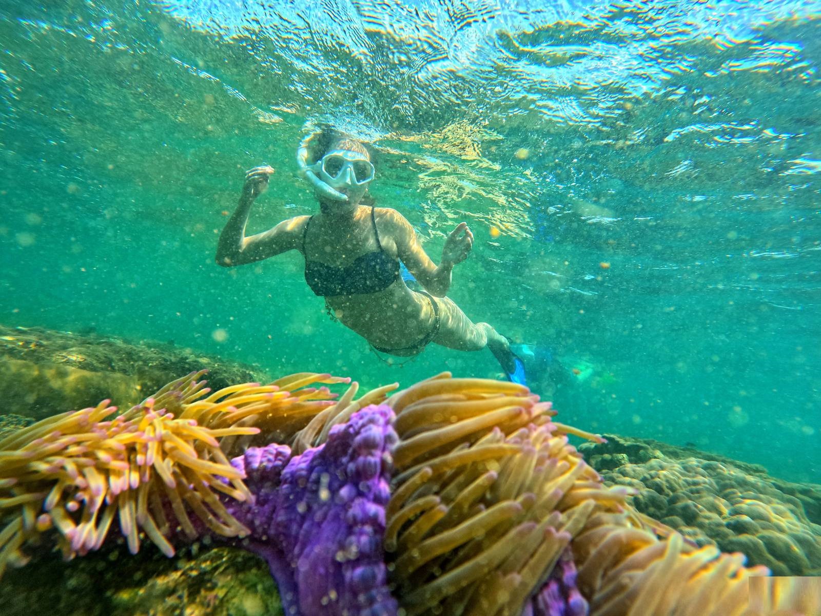 Phu Quoc Snorkeling Day Tour to Explore Coral Jungle Reef