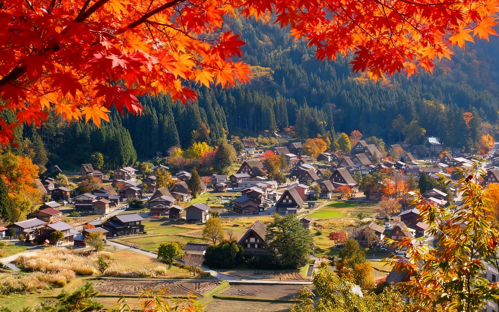 Shirakawa-go & Hida Takayama: Miyagawa Morning Market, Takayama Jinya, Gassho Village Day Trip (From Nagoya)