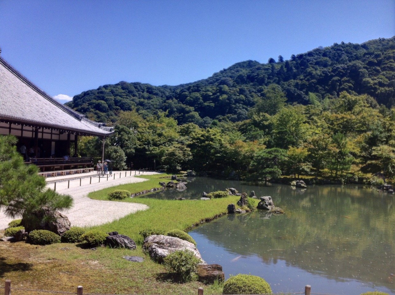 Kyoto Cultural Heritage Day Tour｜Kinkaku-ji Temple, Arashiyama, Sanjusangendo Temple, and Kiyomizu-dera Temple｜Optional Kobe Beef Shabu-shabu Lunch (Departing from Osaka and Kyoto)