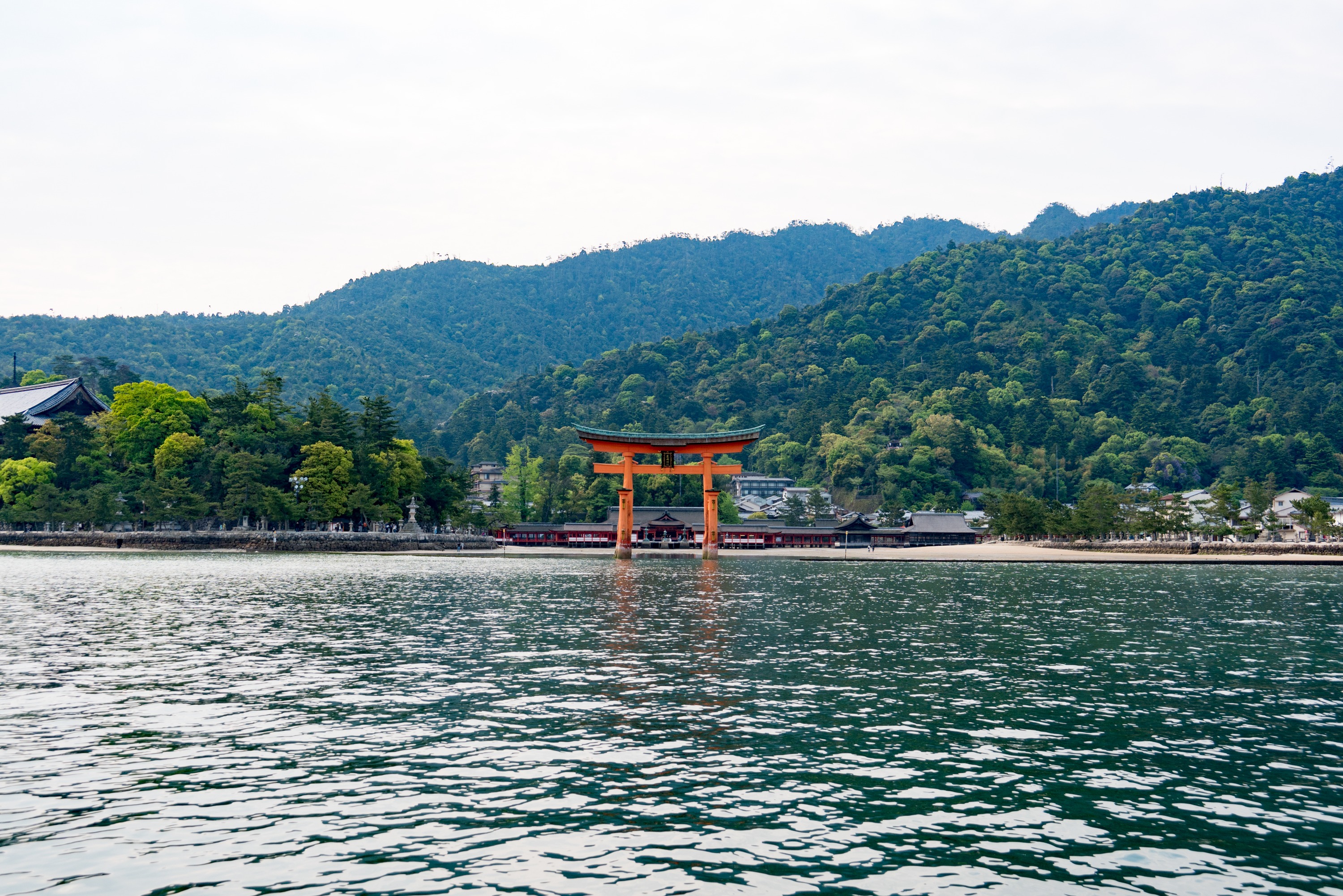 Oyster Lunch Cruise on the Seto Inland Sea Overlooking Miyajima