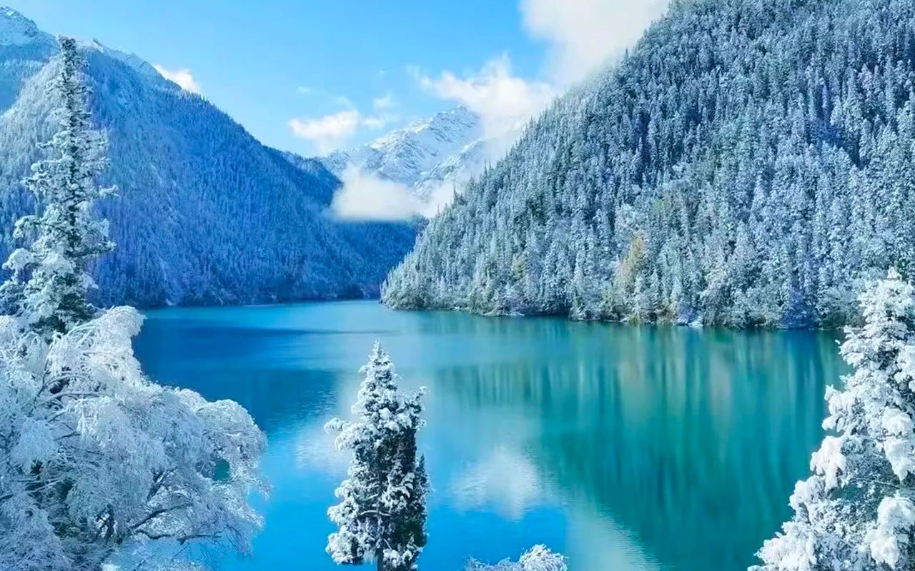 Jiuzhaigou One-Day Tour for 15 People | Optional Round-Trip High-Speed Train + Free and Easy Exploration