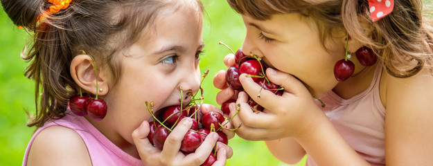 All-Inclusive Cherry Picking Day Tour from Sydney