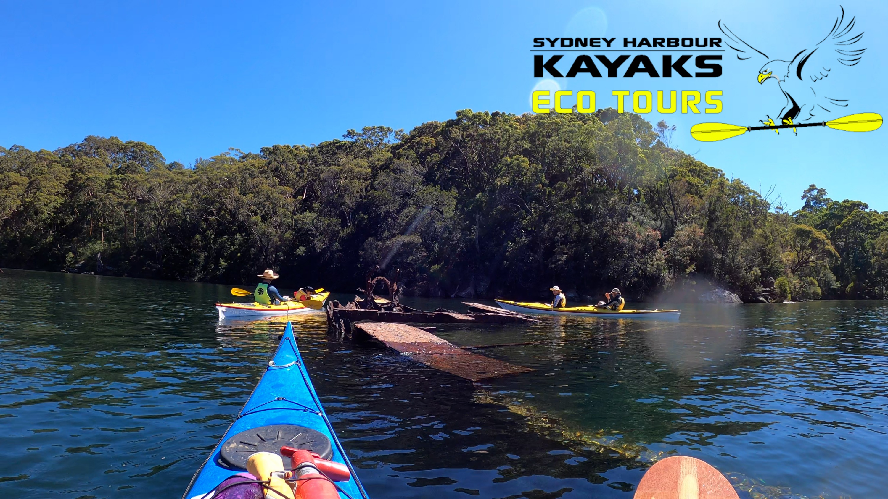 雪梨中港皮划艇生態之旅（Sydney Harbour Kayaks提供）