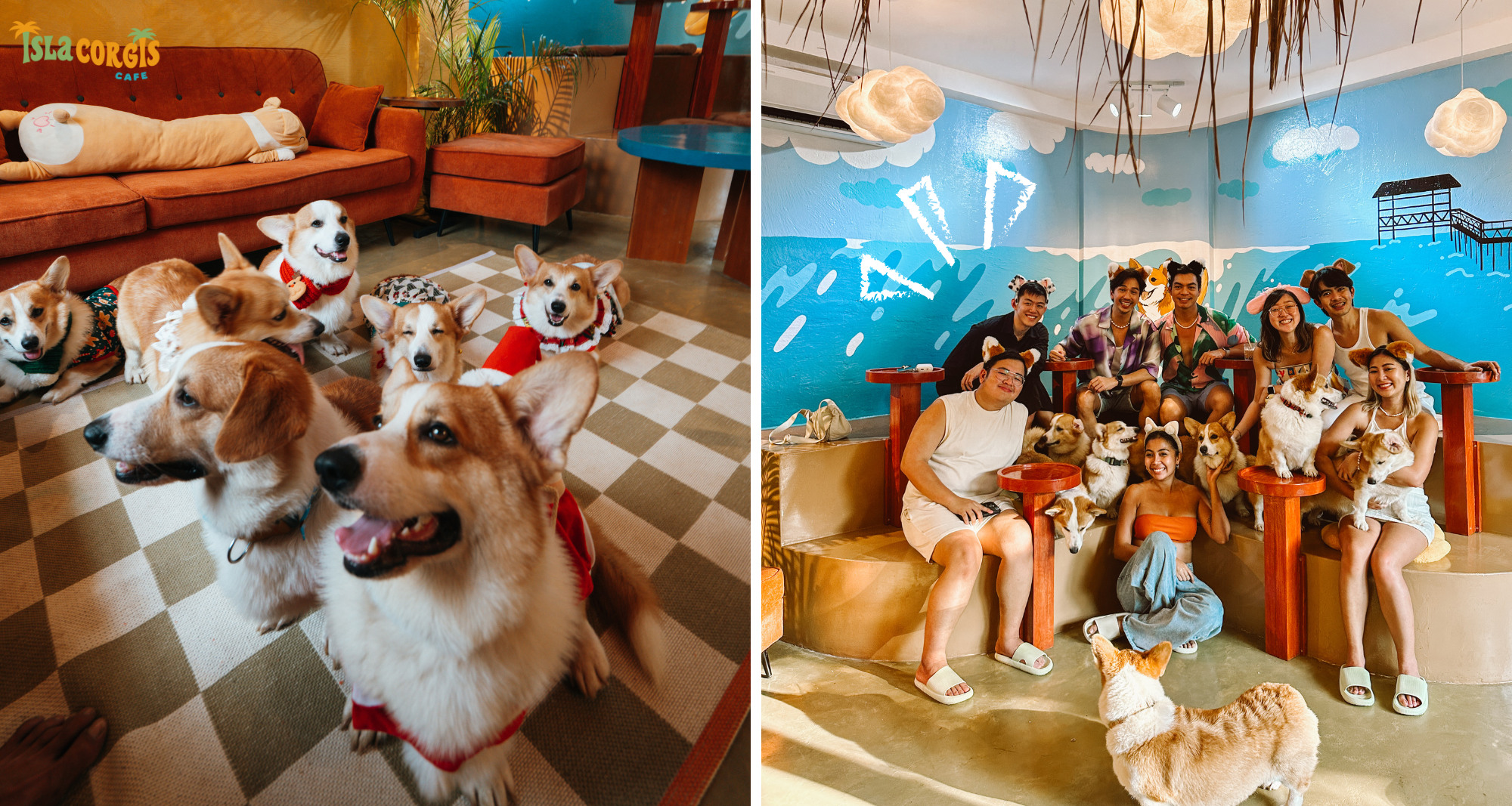 Isla Corgis Cafe Siargao