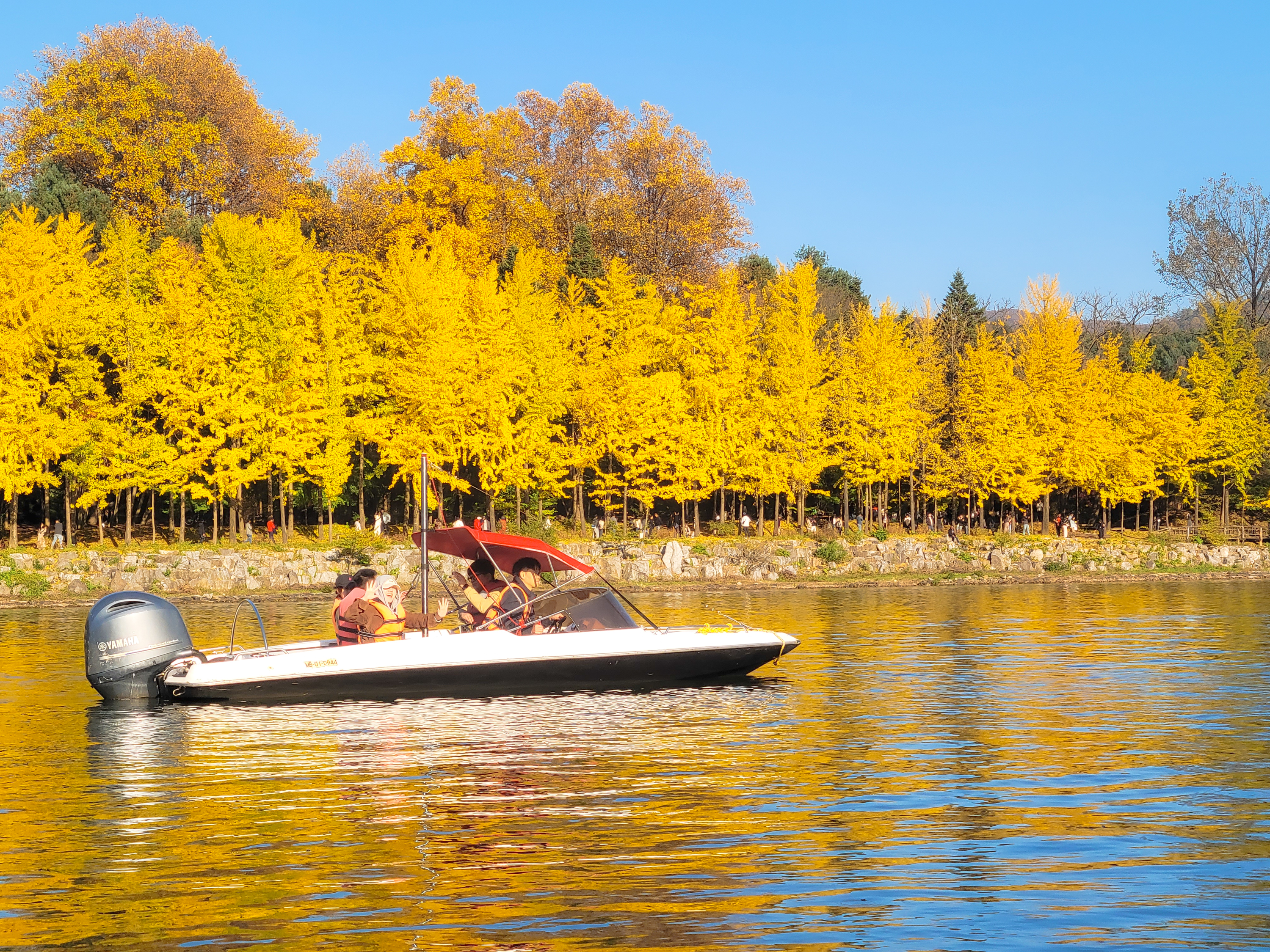 南怡島（快艇）/草泥馬/鐵路自行車/晨靜園私人旅遊