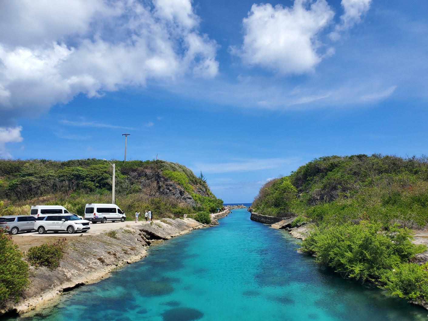 關島海豚巡遊