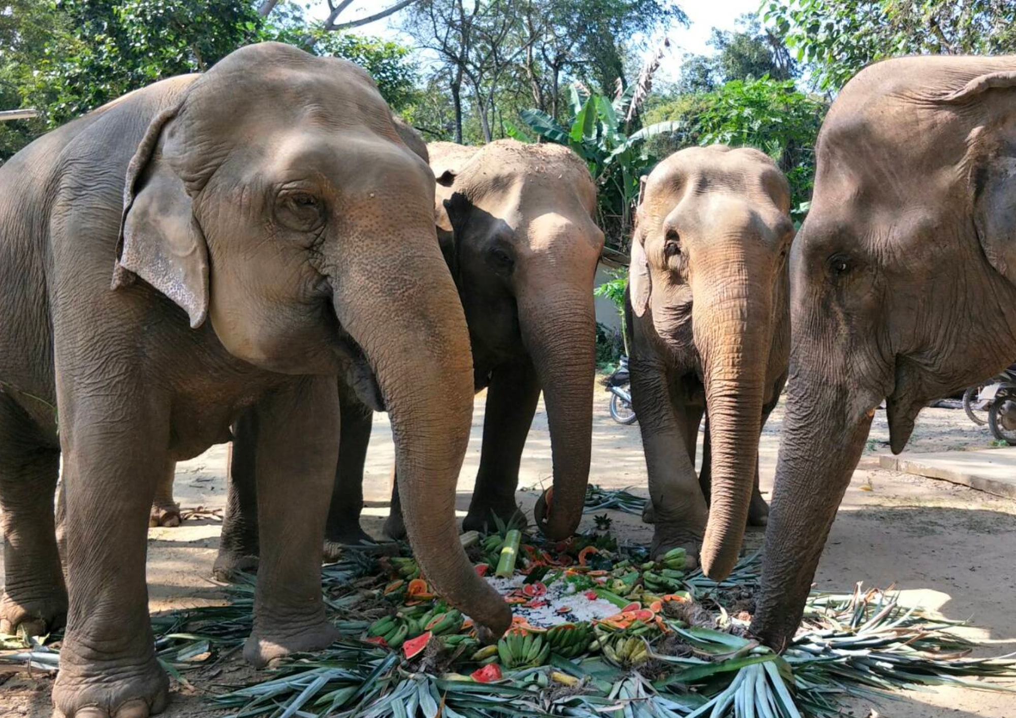 Full Day Kanchanaburi with Erawan & Elephant from Bangkok