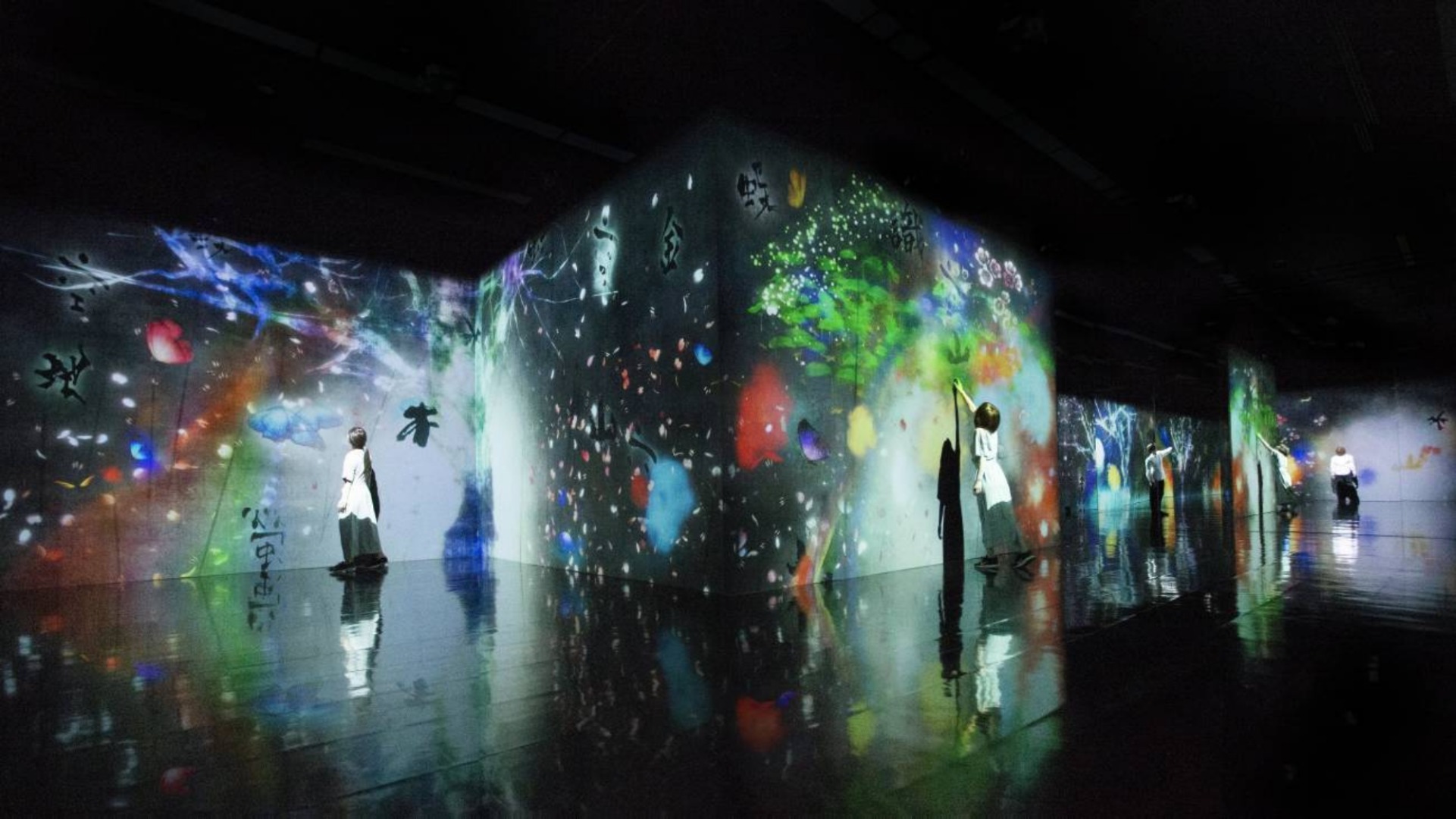 TeamLab Borderless Ticket in Shanghai