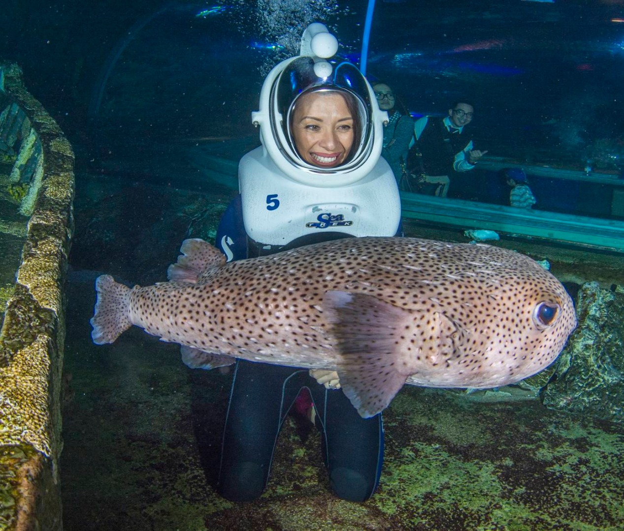 關島海底世界水族館海底漫步體驗