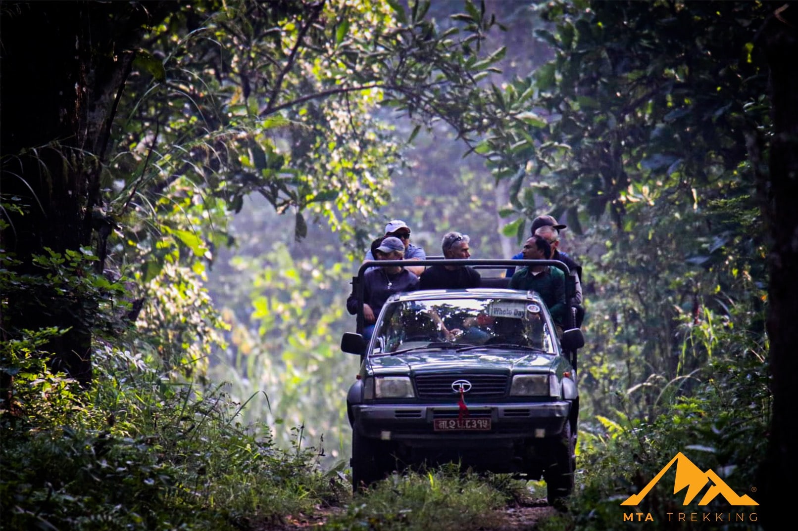 Jungle Safari in Nepal