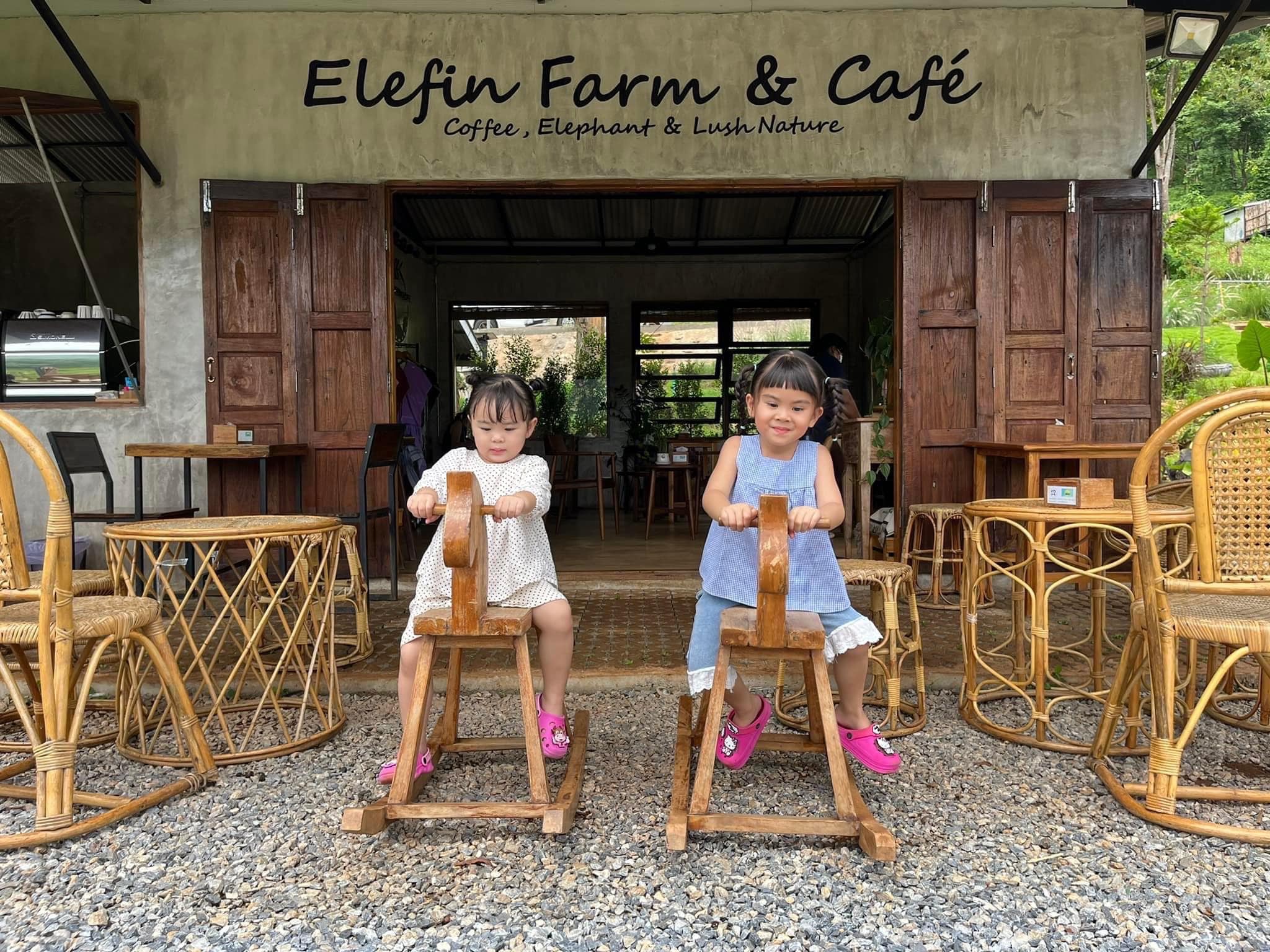 Chiang Mai Elefin Farm & Cafe Elephant Care