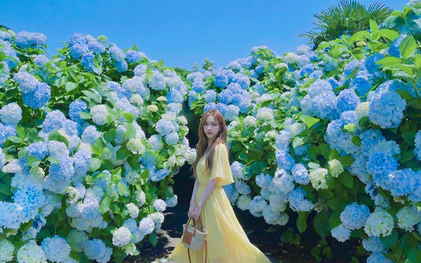 Jeju: UNESCO & Cultural Day Tour, Hanbok, HALLASAN, Camellia, Sauna (W/pick-up)