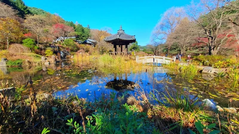 花園展示了受韓國美學啟發的精美景觀區。 花園展示了受韓國美學啟發的精美景觀區。
