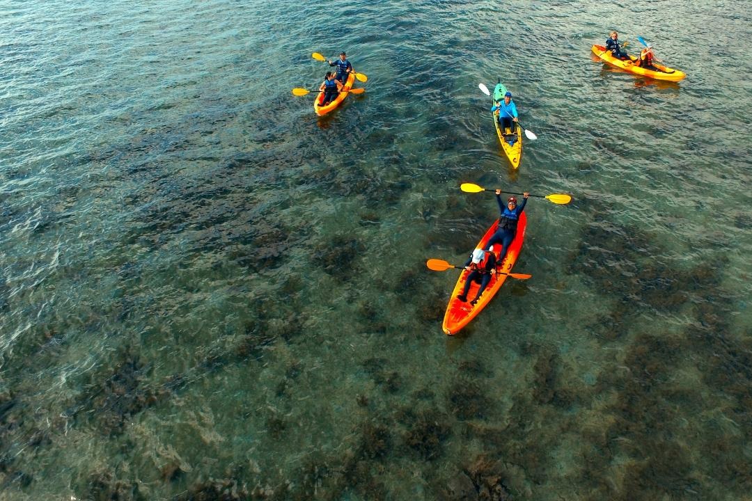 Half Day Kayak Turtle Tour in Cairns