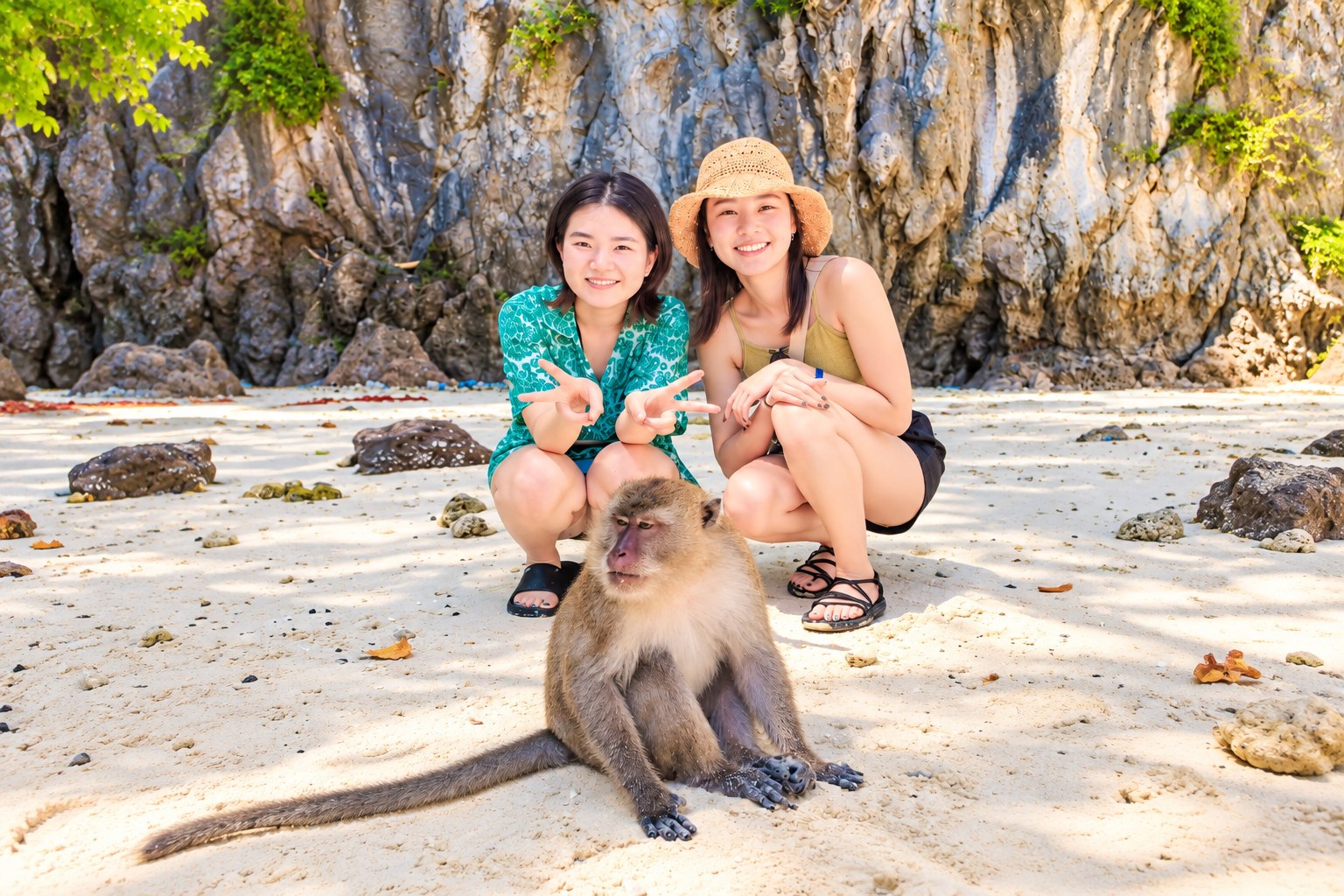 Meet the playful monkeys at Monkey Beach 🐒🏝️ Meet the playful monkeys at Monkey Beach 🐒🏝️