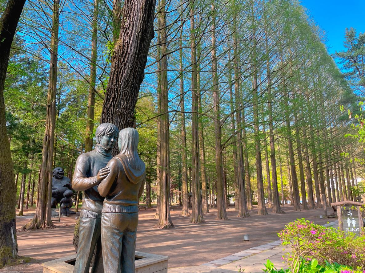 夢幻林蔭大道 — 漫步在南怡島著名的水杉林大道,是拍照打卡的完美景點。 夢幻林蔭大道 — 漫步在南怡島著名的水杉林大道,是拍照打卡的完美景點。