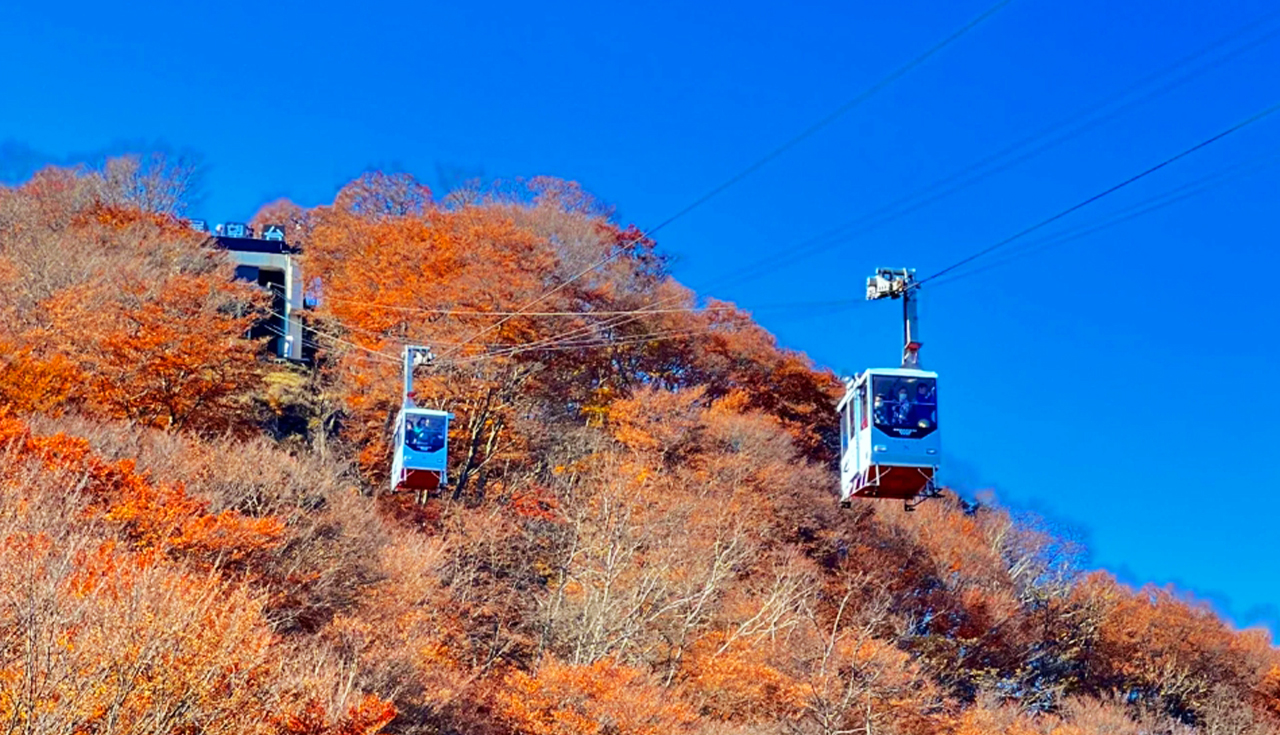 東照宮&伊呂波山道&明智平空中纜車&展望臺&中禪寺湖&華嚴瀑布