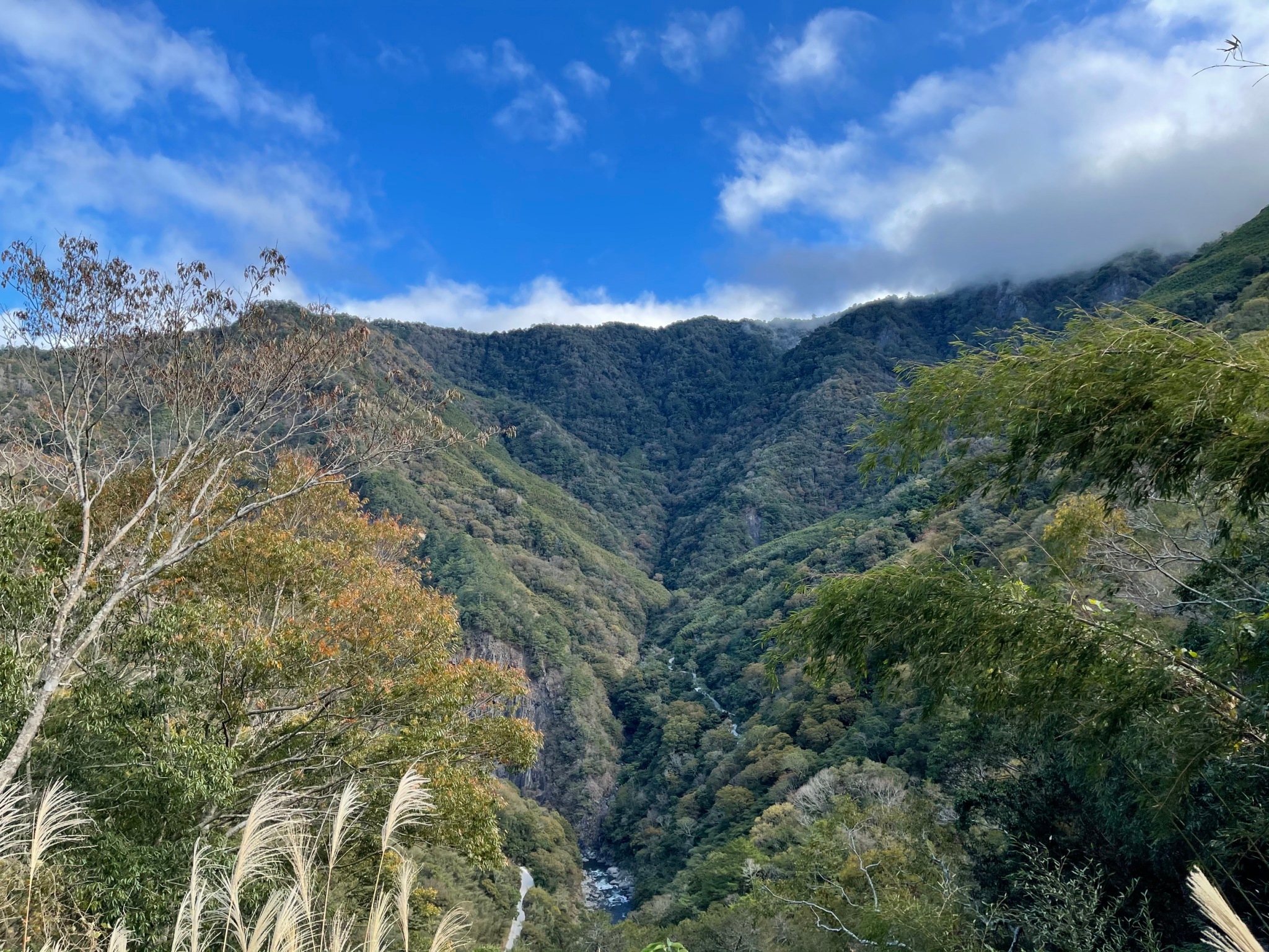 新竹｜司馬庫斯一日遊